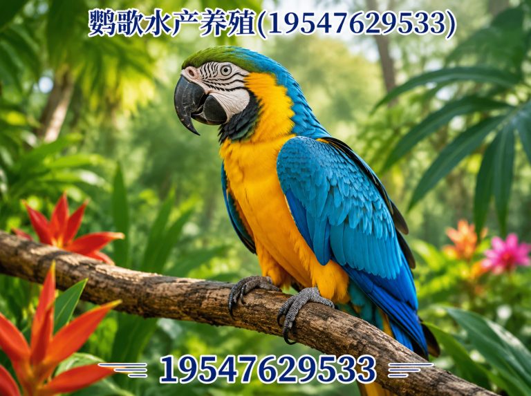 双流区鹦歌水产养殖展示图